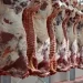 Allocation of foreign exchange for the import of 170 thousand tons of red meat